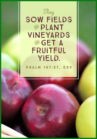 "They sow fields and plant vineyards and get a fruitful harvest." Psalm 107:37