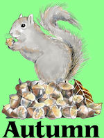 Squirell with mound of acorns - Autumn