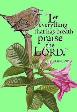 Ps. 150:6 "Let everything that has breath praise the Lord." Bird on a flowering plant