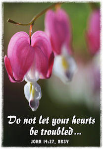 "Do not let your hearts be troubled." John 14:27