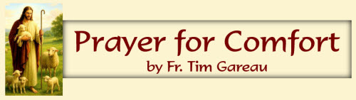  "A Prayer for Comfort" by Fr. Tim Gareau
