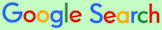 Google Search icon