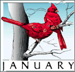 January 2011 Apple Seeds - two red cardinals on a snow-covered branch