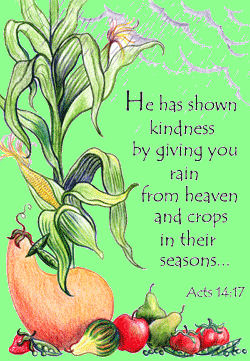 "He has shown kindness." Acts 14:17