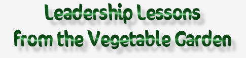 Leadership Lessons from the Vegetable Garden