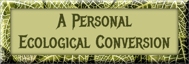 A Personal Ecological Conversion