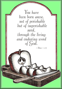 1 Peter: You have been born anew . . .