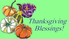 pumpkins, squash, gourds, Thanksgiving Blessings!